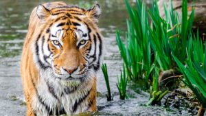 Mehr über den Artikel erfahren Lorem ipsum dolor sit amet consectetur