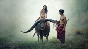 Mehr über den Artikel erfahren Nulla metus metus ullamcorper vel tincidunt