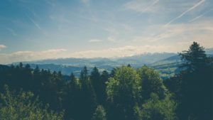 Mehr über den Artikel erfahren Quis ligula lacinia aliquet mauris ipsum