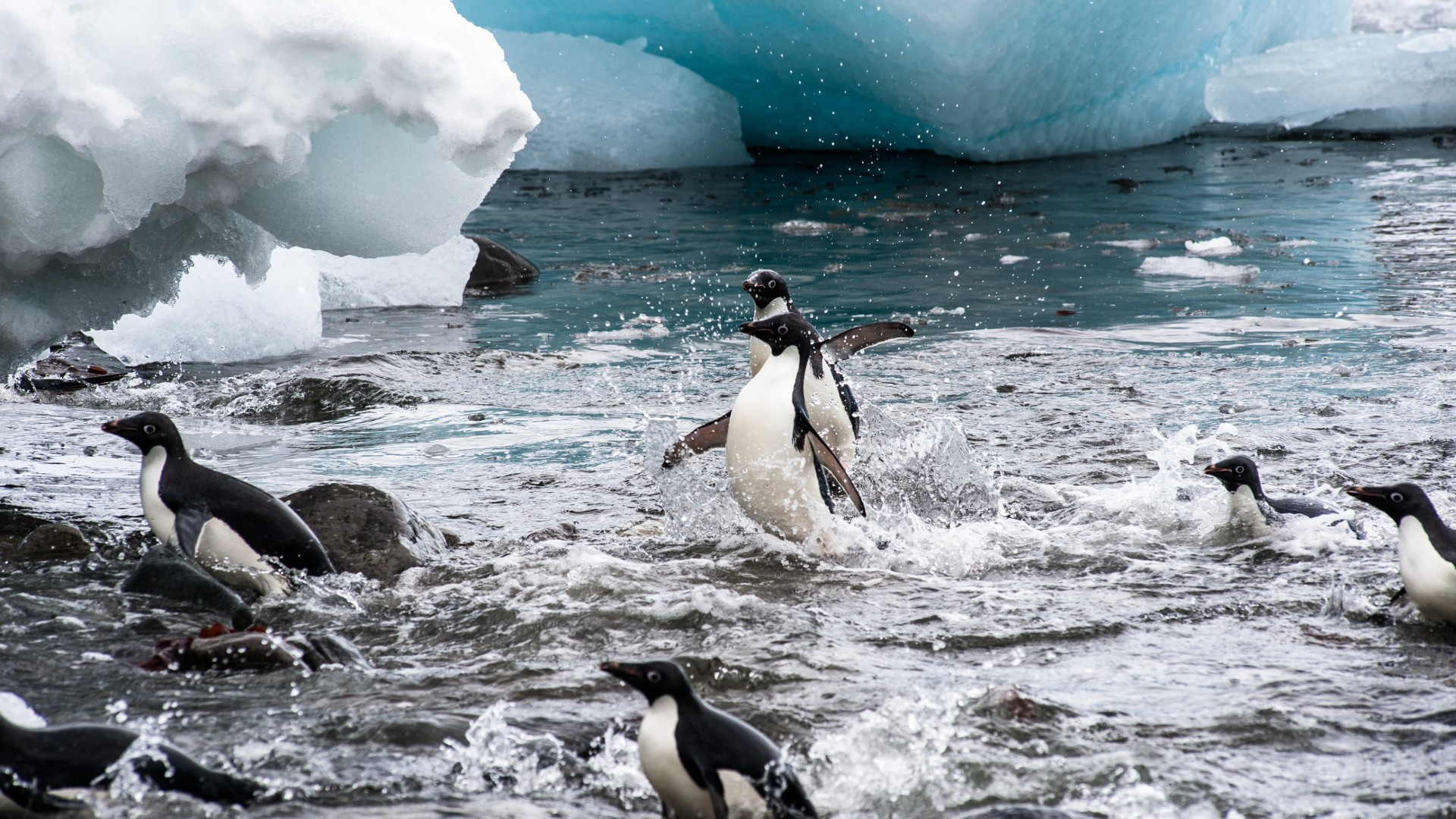 jason-row-GSLrIhmiVfo-unsplash (1)